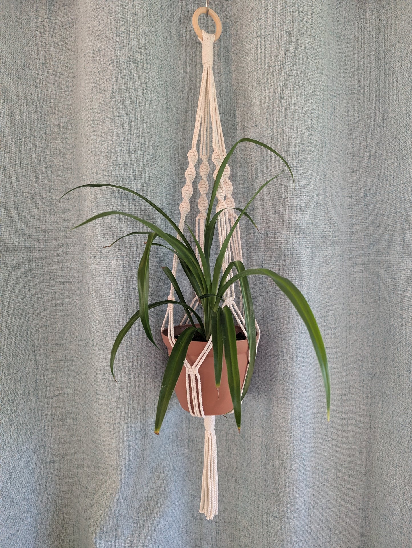 Macrame Plant Hanger Minimalist Design