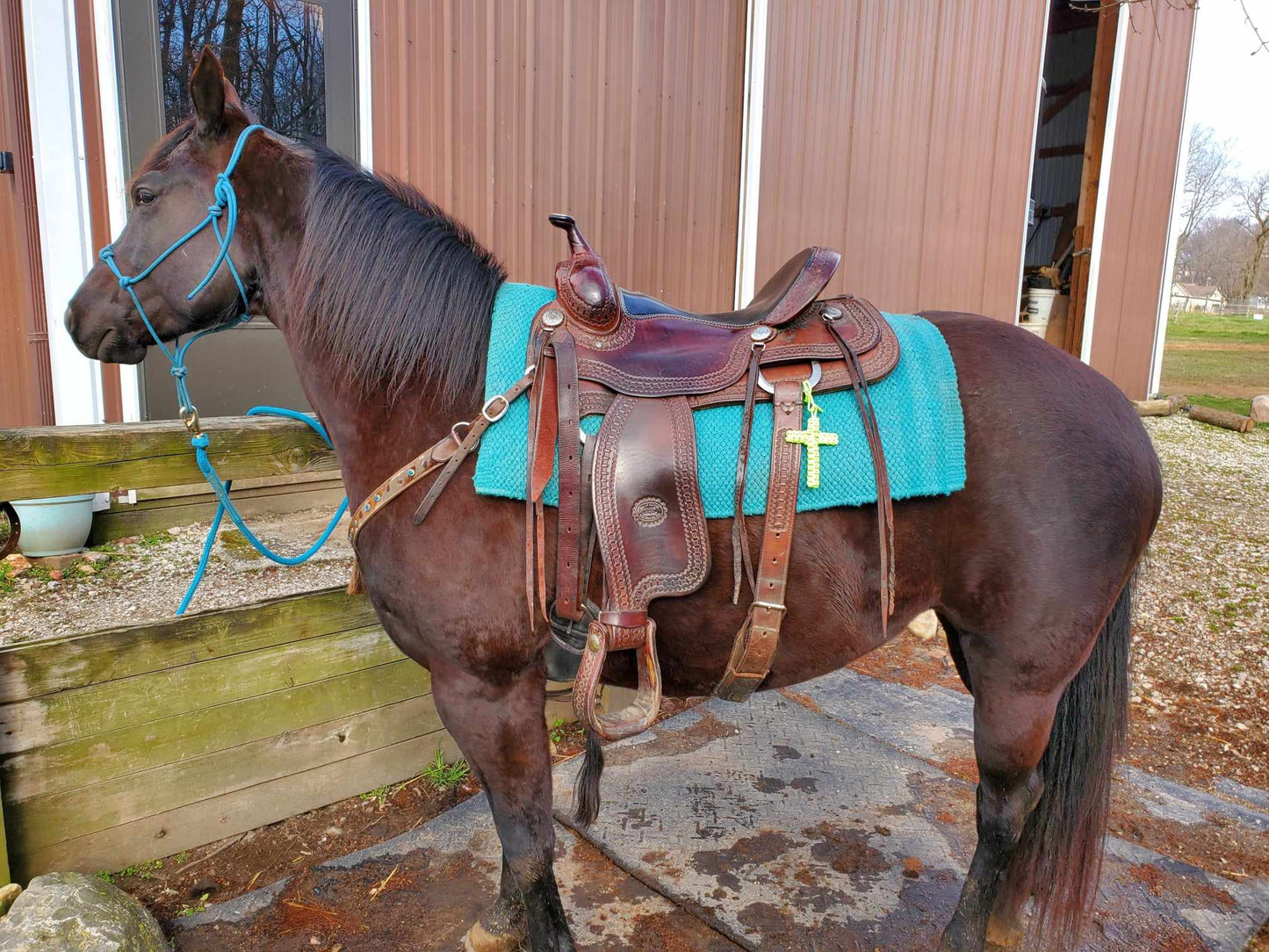 Saddle Crosses - Custom Colors Available!