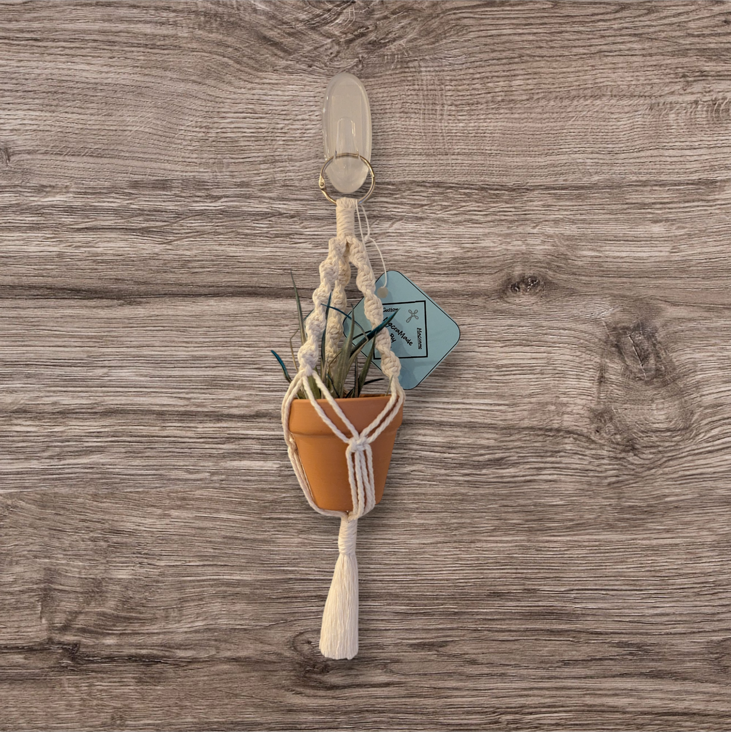 Macrame Mini Plant Holders - Air plants and tiny succulents- Multiple Options, Custom Colors!