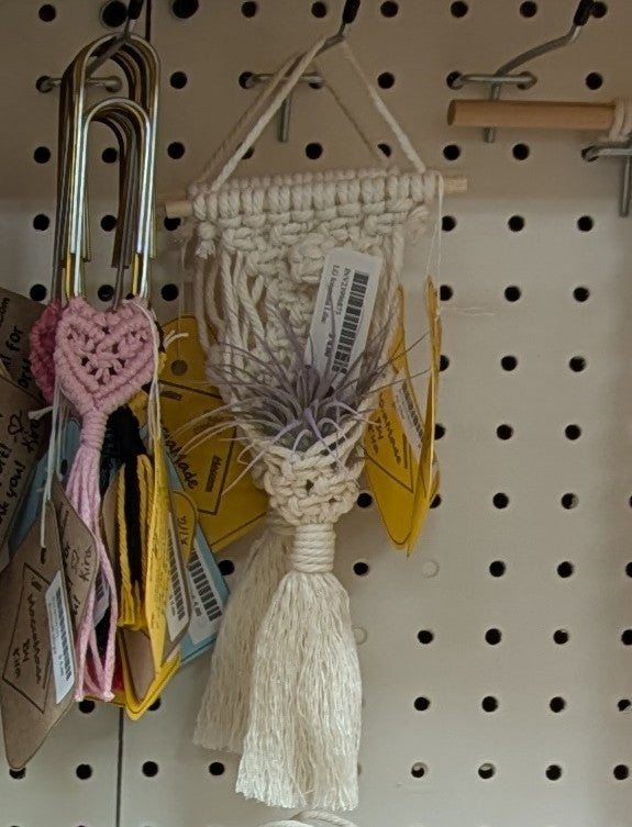 Macrame Air Plant Pod Hanger- Custom Colors!