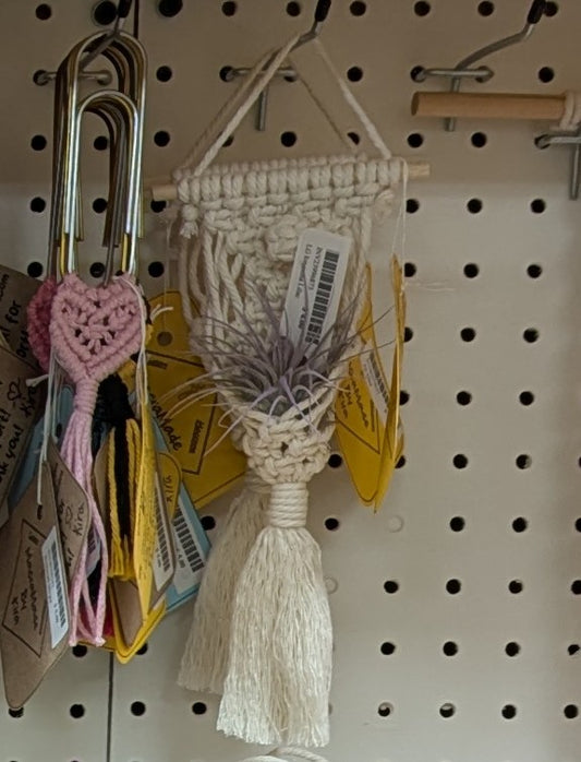 Macrame Air Plant Pod Hanger- Custom Colors!